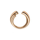 Leo Wittwer Le Tonneau Ring - Bild 2