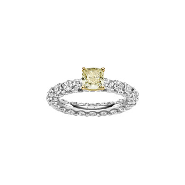 Ringe, Weißgold, Leo Wittwer The Ultimate Ring