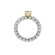 Leo Wittwer The Ultimate Ring - Bild 2