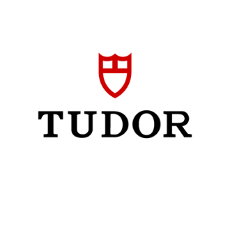 Tudor 500x500 96ppi (2)